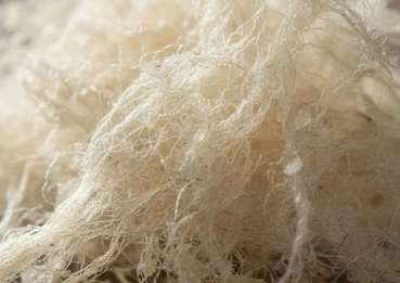 Konjac fiber MetaBurn ingredient