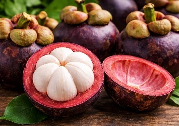 Mangosteen ingredient MetaBurn