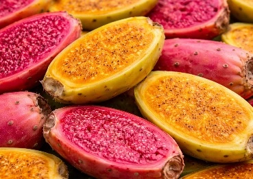 Prickly pear MetaBurn ingredient